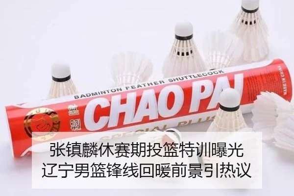 张镇麟休赛期投篮特训曝光 辽宁男篮锋线回暖前景引热议